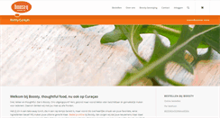 Desktop Screenshot of boostycuracao.com